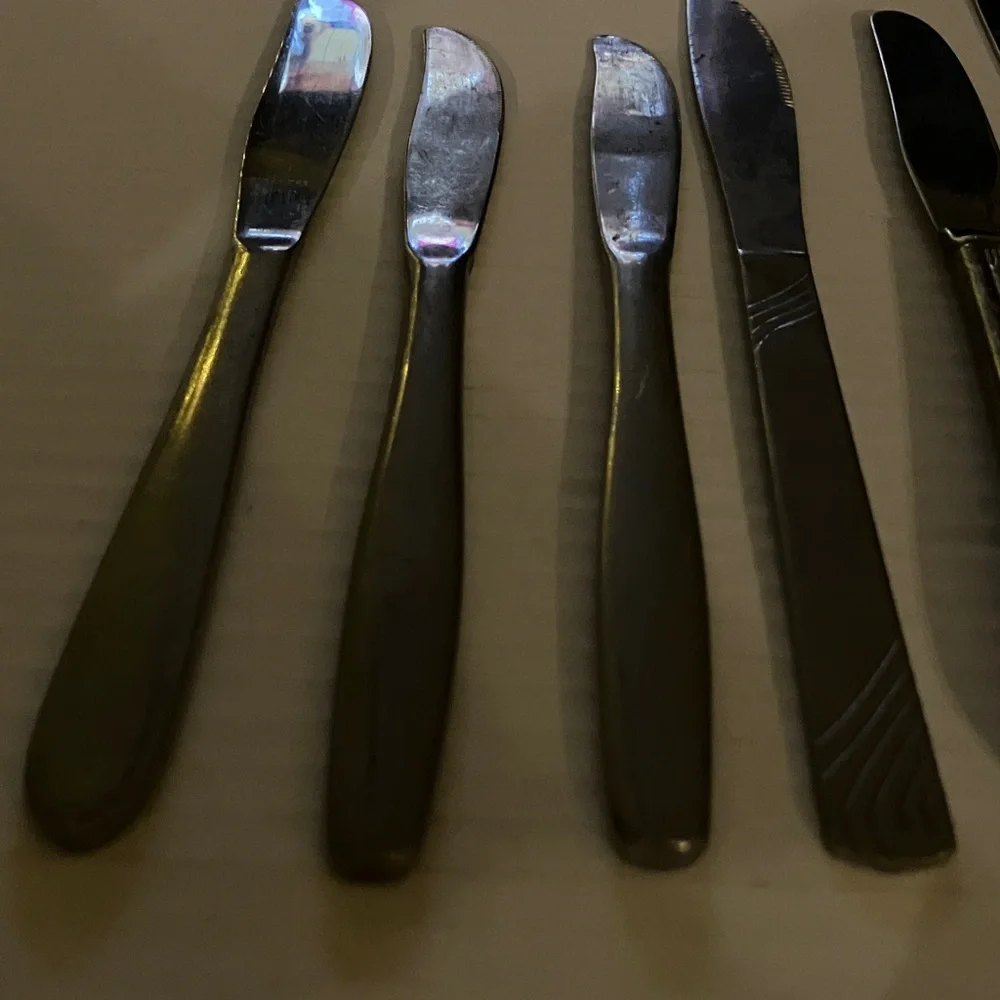 10‎ Variety Stainless Steel Butter Knives Set